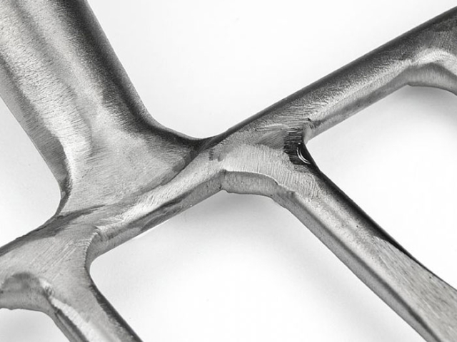 Sneeboer Blumenzwiebel Gabel 5002