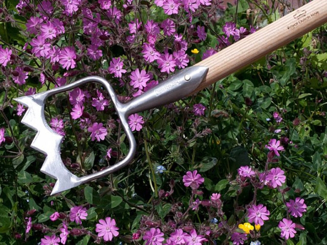 Sneeboer K�nigliche Hollandschuffel 2252