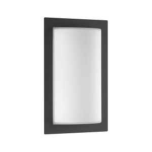 LCD Wandleuchte 044SEN Graphit