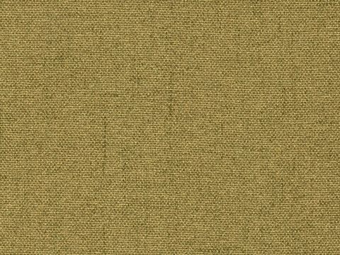 Niehoff Dillan Schwingstuhl Eisen schwarz, Florida kiwi