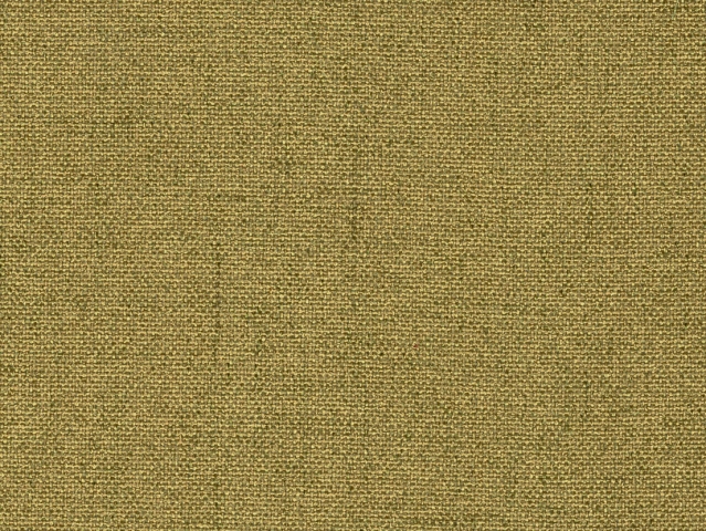 Niehoff Dillan Schwingstuhl Eisen schwarz, Florida kiwi