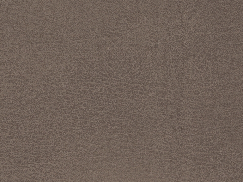 Niehoff Top-Chairs Polsterstuhl Kernbuche, Microfaser Campo savannah