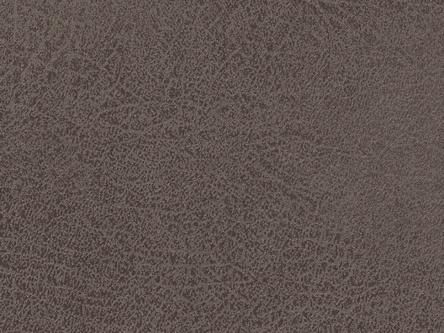 Niehoff Top-Chairs Polsterstuhl Kernbuche, Microfaser Campo graphit