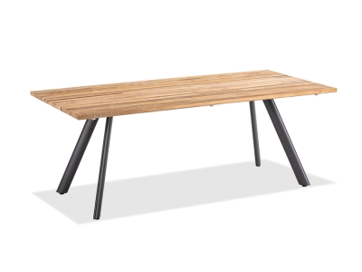 Niehoff Noah Tisch 180x95cm, Stativprofil Aluminium anthrazit, Teak recycelt