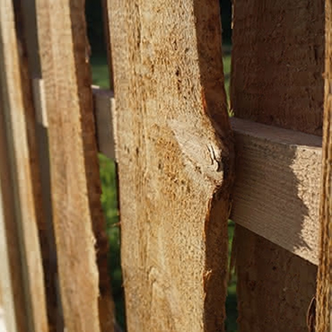 Sichtschutzzaun Ponderosa L�rche 180x180cm