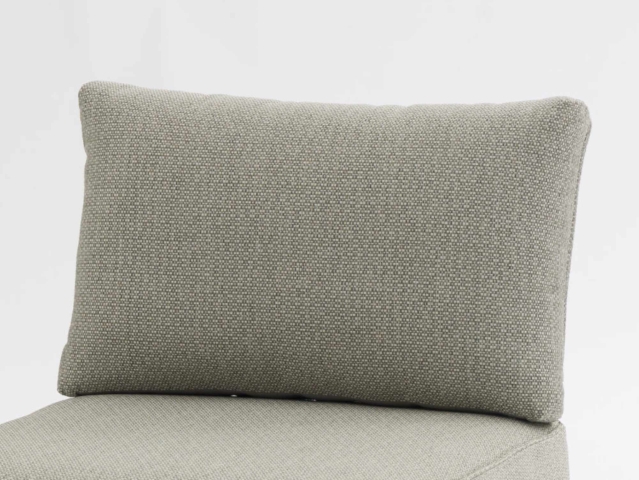 Zebra Fly Lounge R�ckenkissen Farbe Cashmir